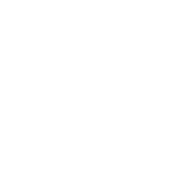 Truck icon